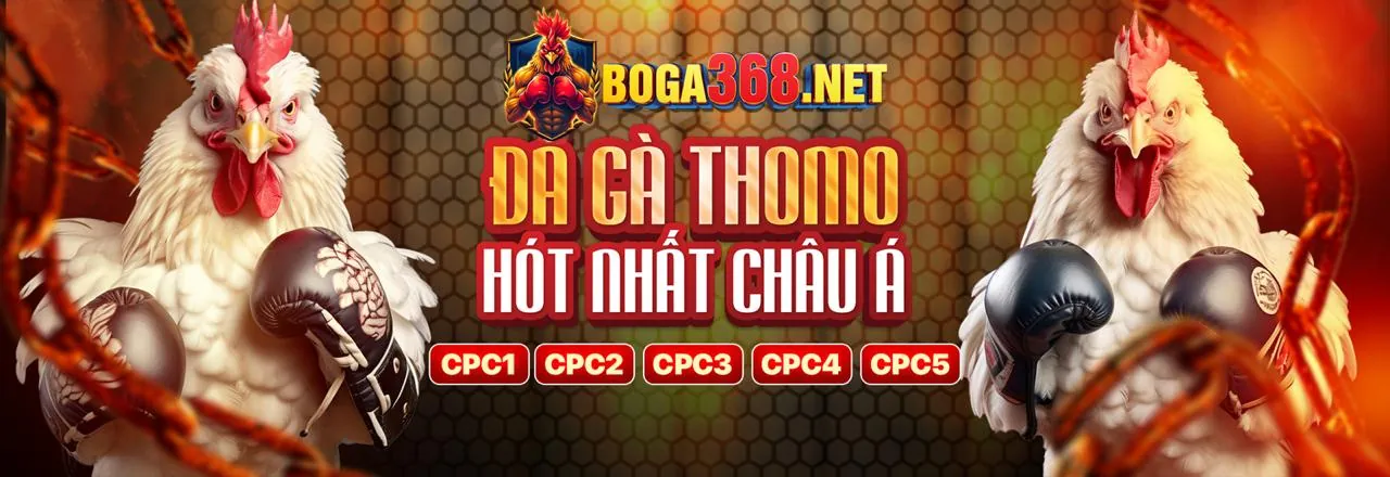 Lịch sử và văn hóa đá gà truyền thống Việt Nam