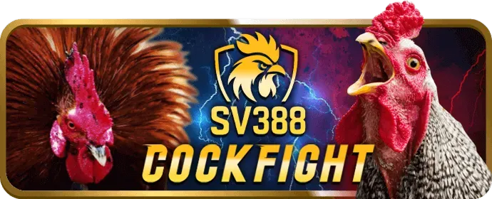 Casino Trực Tuyến bayvip app
